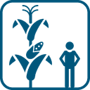 ZEER MOOIE VOEDERUITSTRALING