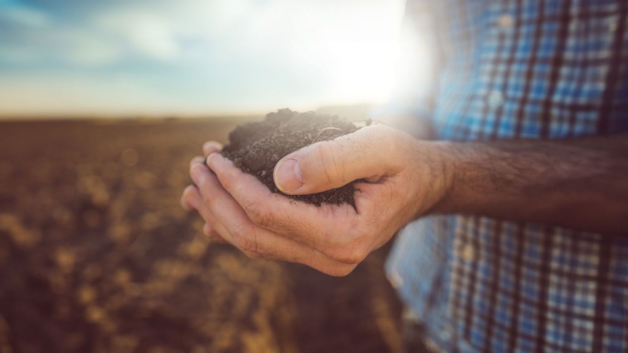 International year of the woman farmer 2026