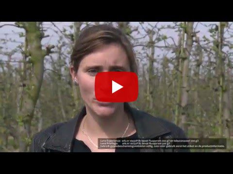 Luna Experience in appel en peer