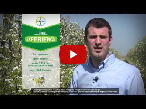 Luna Experience in appel en peer