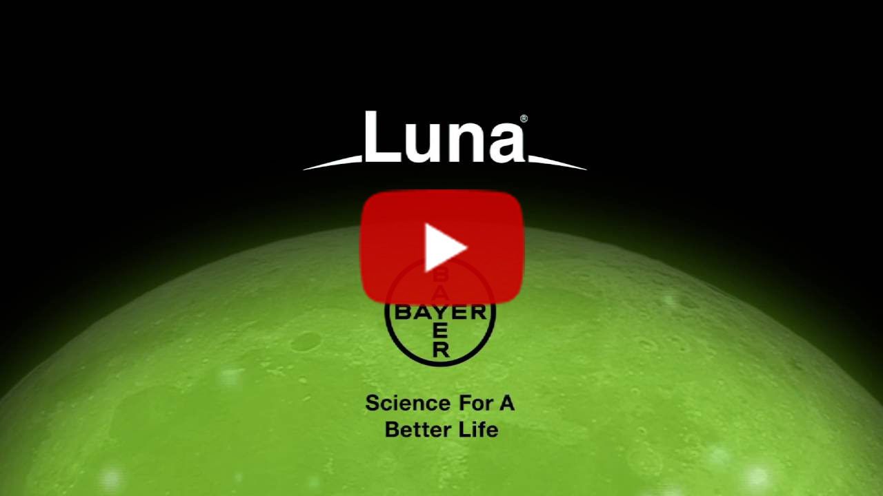 Ziektebestrijding in bonen: Luna Privilege