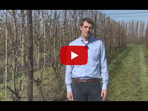 Op zoek naar nieuwe oplossingen in de fruitteelt ?