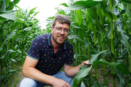 Dekalb staat voor stabiele maïsrassen met bovengemiddelde opbrengsten