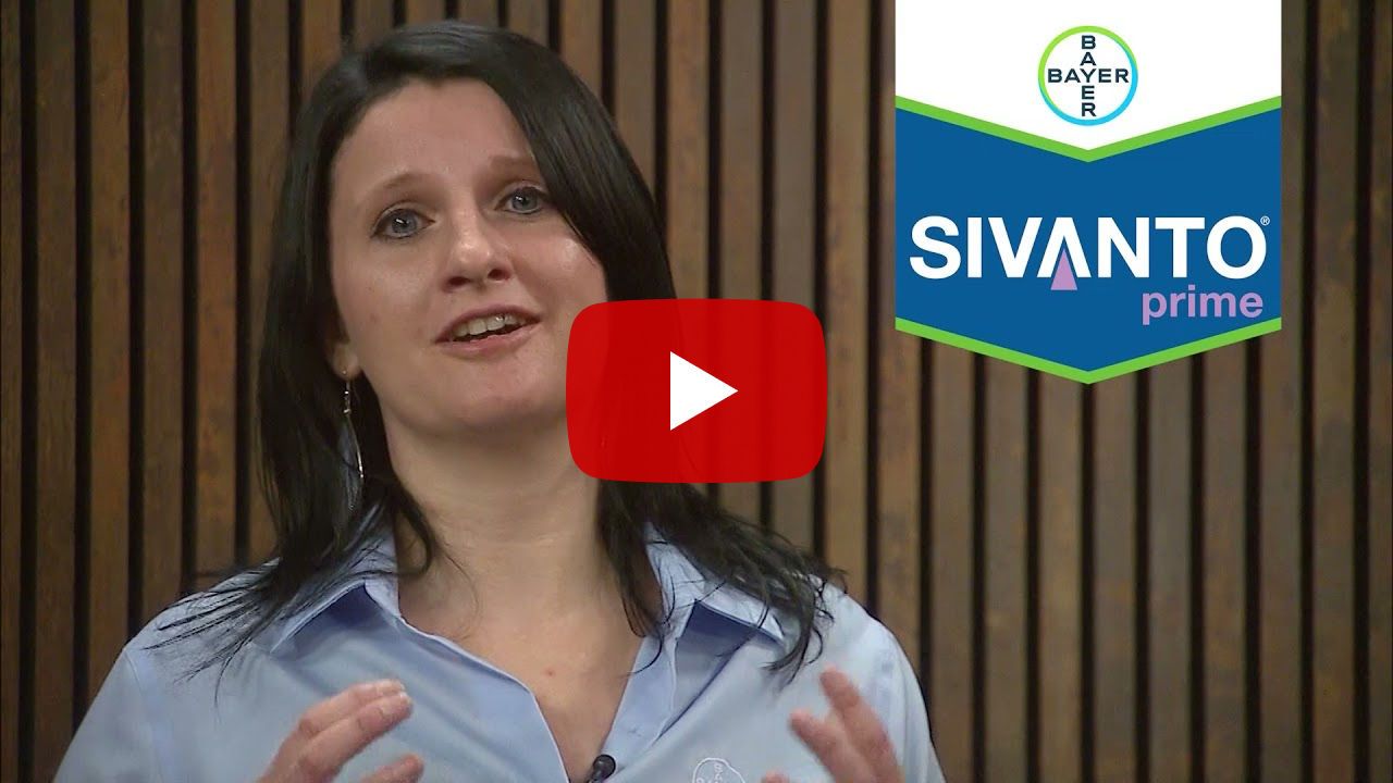 Sivanto Prime tegen perebladvlo in appel en peer