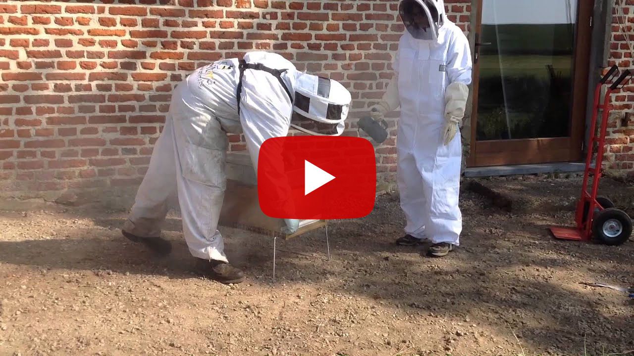 Welkom aan de bijen!