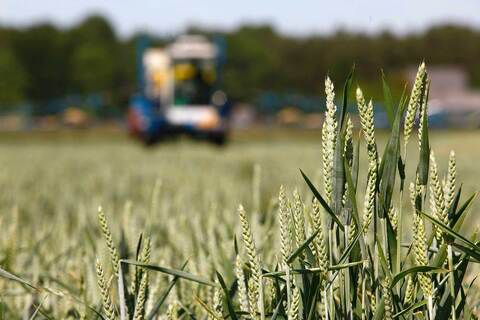 Poursuivons-nous la débâcle énergétique avec notre approvisionnement alimentaire?