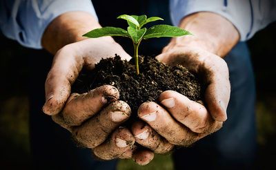 Duurzaam ziekte- en resistentiemanagement 